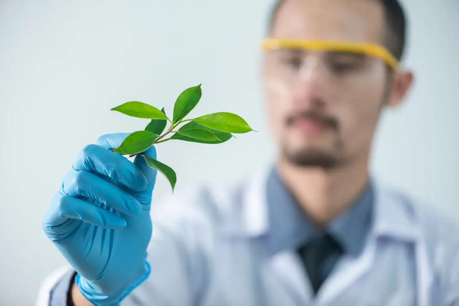Agrochemical laboratory quality control